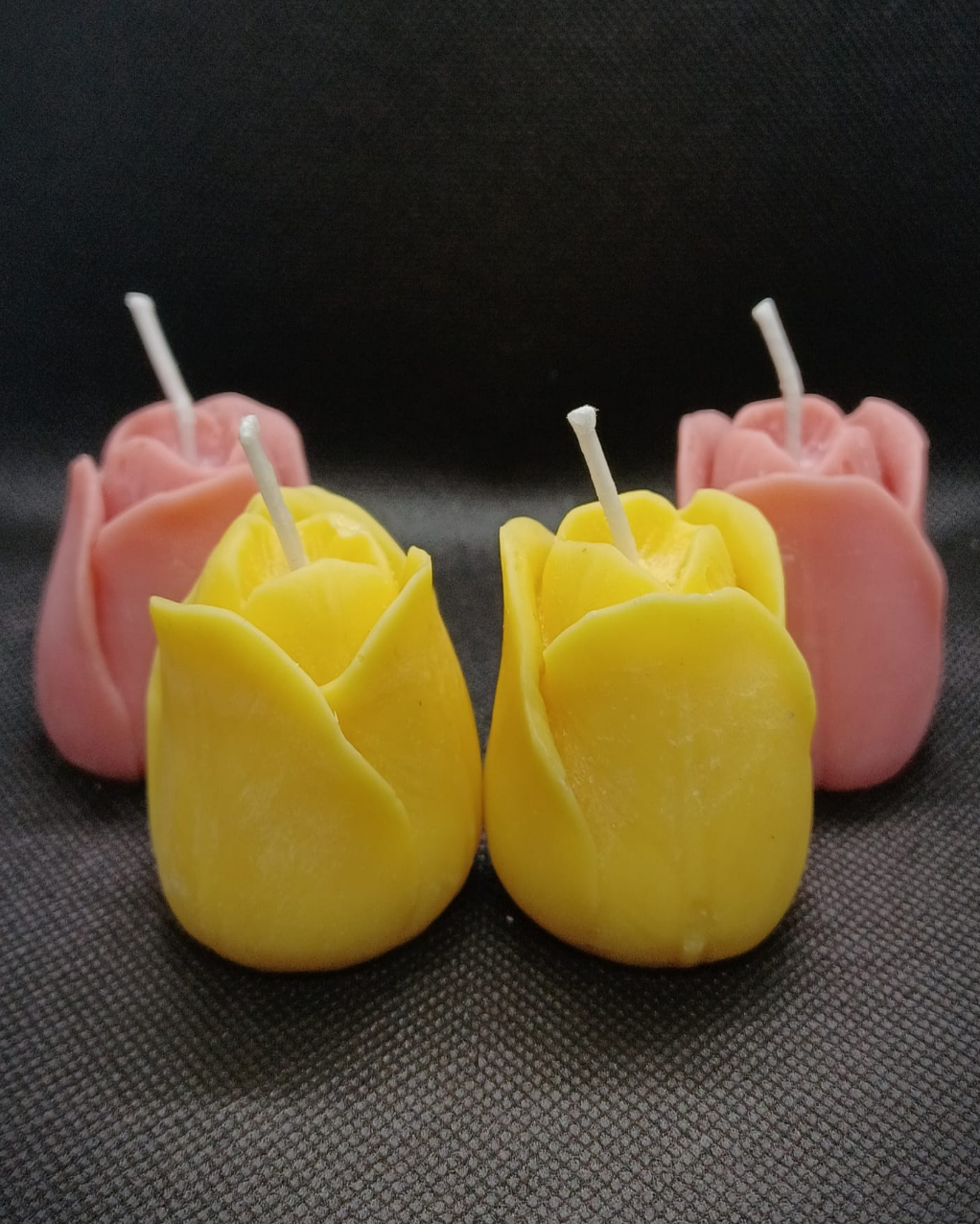 4x Tulip