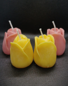 4x Tulip