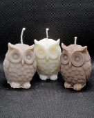 3x Owl